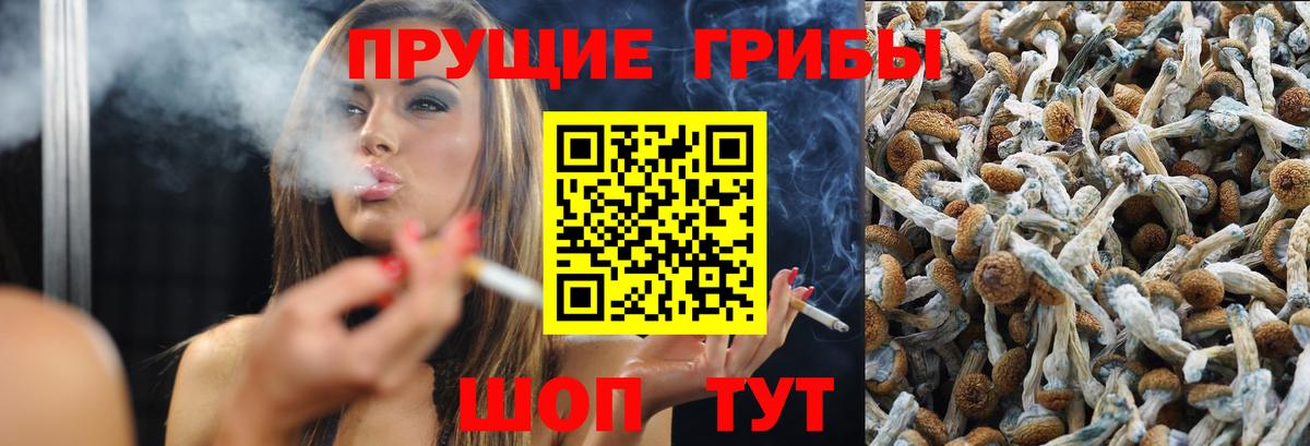 Грозный  как найти закладки  Псилоцибиновые грибы мицелий  Вход с VPN  Псилоцибиновые грибы ЛСД 
