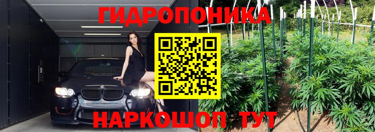 МАРИХУАНА VHQ  МАРИХУАНА планчик  Бошки Шишки планчик  Грозный  Вход с VPN 